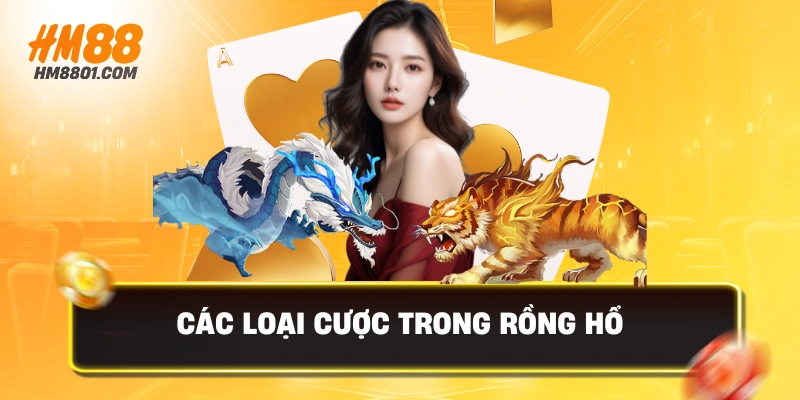 Các loại cược trong rồng hổ 