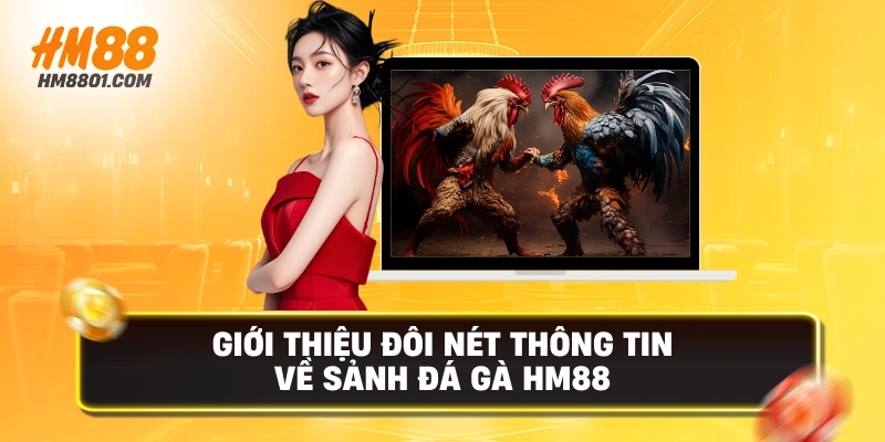 Giới thiệu đôi nét thông tin về sảnh đá gà hm88
