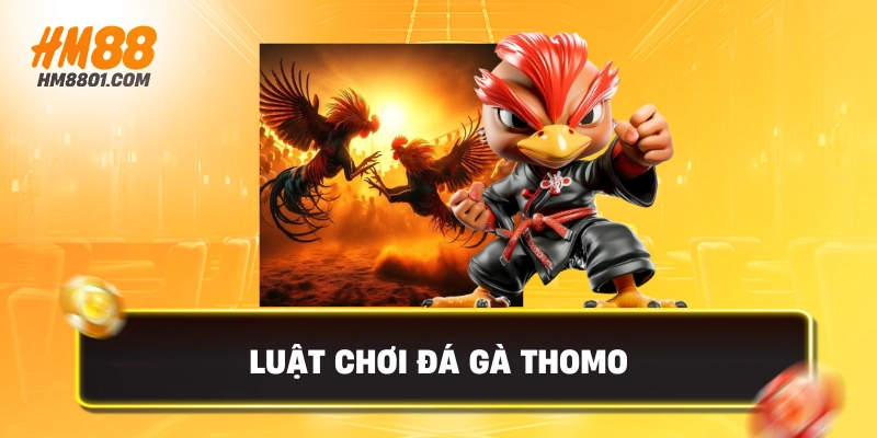 Luật chơi đá gà thomo